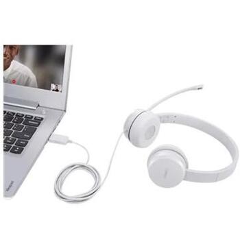 Lenovo USB наушники 110 GXD1E71385, 1.8м, 32Ω, 116dB, USB Type-A, микрофон с держателем, стереозвук (GXD1E71385)