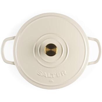 Salter кастрюля BW13772C, 2.8L, 30.6cm, чугун, кремовый, с крышкой, совместима со всеми плитами (BW13772C)