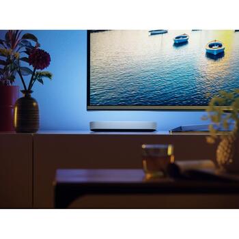 Philips Hue Gaismas Lampa MODELIS 8718696170748, 42 W, 2000-6500 K, 530 lm, LED, IP20, Viedā vadība (8718696170748)