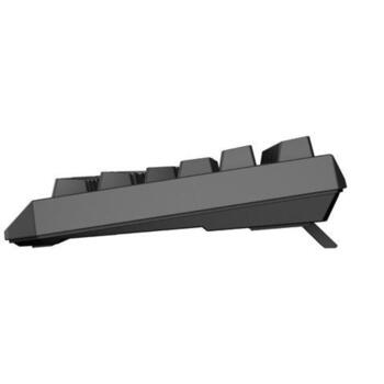 Genesis Thor 230 TKL механическая игровая клавиатура NKG-2108, 3000 mAh, 2.4 GHz, Bluetooth, USB, RGB, Outemu Silent Lemon, черная (NKG-2108)