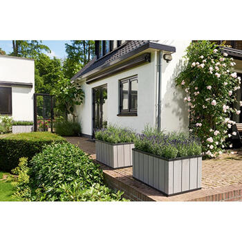 Puķu pods Sequoia Duotech M pelēks 29206727 KETER (29206727)