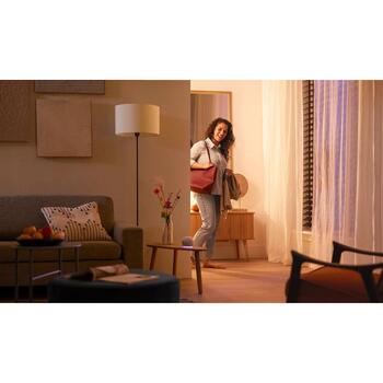 Philips умная светодиодная лампа WFB 100W A60 822-65 RGB 1PF/6 8721103046611, E27, 12.5 Вт, 1521 лм, 220-240 В, 2200-6500 К (8721103046611)