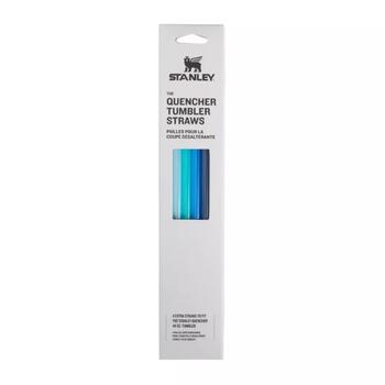 Stanley® Salmiņu komplekts 4 gab. The Quencher Travel Tumbler Straws, 1,18L, zili, 2810573048 (2810573048)