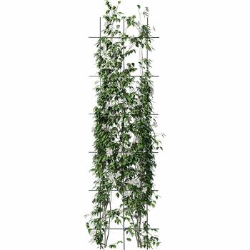 Bioogrod dārza režģis 721424, 150cm, 45cm, 15x20cm, tērauds, melns, 3 vertikāli stieņi, 6 horizontāli stieņi, 4 enkuri (721424)
