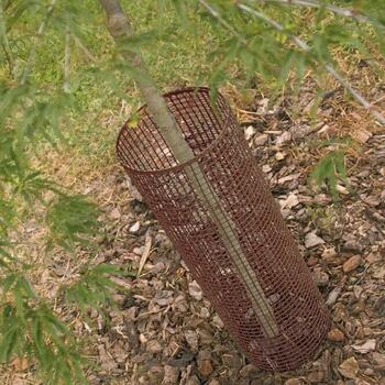 QUADRA 10 - Plastmasas aizsargsiets brūns, 1x5m 72020117 (72020117)
