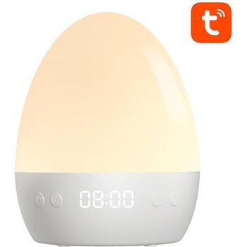 Gosund RGBW 16M LB2S, 5V, 1A, 50lm, 2700K, 80Ra, 2.4GHz, управление через приложение, совместимость с Amazon Alexa (LB2S)