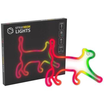 Manta Neona gaismas SNL60RGB, 5W, 5V, 2m barošanas vads, 16 krāsas, bezvadu tālvadība, spilgtuma regulēšana (SNL60RGB)