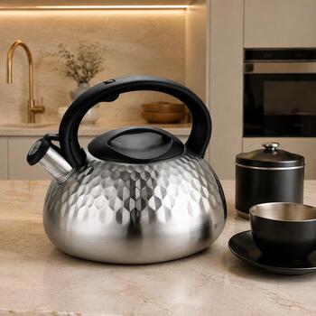 Brock MWK 004 La Cuisinette чайник, 2,5 л, 3 л, нержавеющая сталь, для индукции, со свистком (MWK 004)