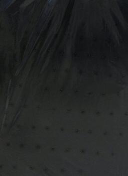 DOT COVER 1,5x5m 72202119 (72202119)