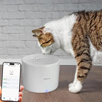 Tellur Smart WiFi диспенсер для воды для домашних животных TLL331471, 2L, DC 5V/1A, УФ стерилизация (TLL331471)