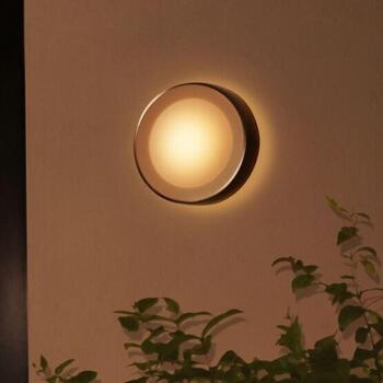 Philips Hue Уличный настенный светильник Daylo 8718696174418, 15Вт, 1060лм, IP44, 2000-6500K, LED, Bluetooth/Zigbee (8718696174418)