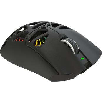 White Shark MORIEN WGM-5025 MORIEN-B, игровая мышь, 6 кнопок, 6200-12000 DPI, 1000 Гц, BT/2.4 ГГц/провод, 400 мАч, RGB, 67 г (MORIEN-B)