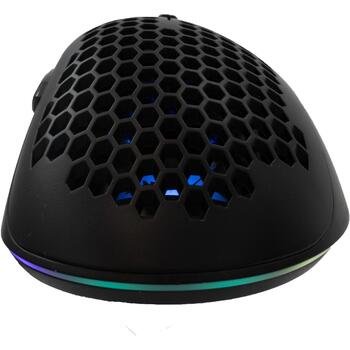 Baracuda CORAL-B BGM-031,l Black (CORAL-B)