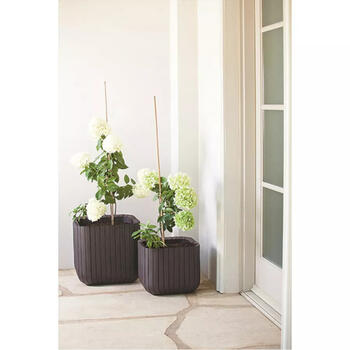 Keter Puķu pods Cube Planter M 29201220590, 39 x 39 x 39cm, 2.3kg (29201220590)