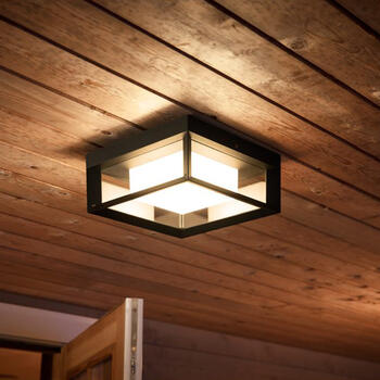Philips Hue Econic viedā sienas/griestu dārza lampa (1743830P7)