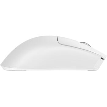 Baracuda Компьютерная мышь MORAY BGM-132 MORAY-W, Белая, 3200 DPI, 125 Hz, 6 кнопок, 65 г, 2.4 GHz, Bluetooth, Оптический сенсор (MORAY-W)
