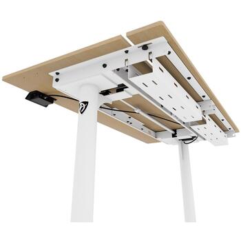 Arozzi Electric Standing Desk | Arena Nordico | Birch (ARENA-NRD-BCH)