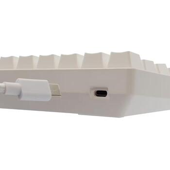 White Shark Клавиатура SHINOBI-2-W-US-BLUE.SW, 1.8m, 61 клавиша, механическая, USB-C, RGB подсветка (SHINOBI-2-W-US-BLUE.SW)
