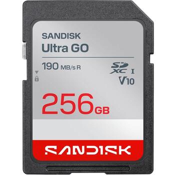 MEMORY SDXC 256GB UHS-I/SDSDUGN-256G-GN6IN SANDISK (SDSDUGN-256G-GN6IN)