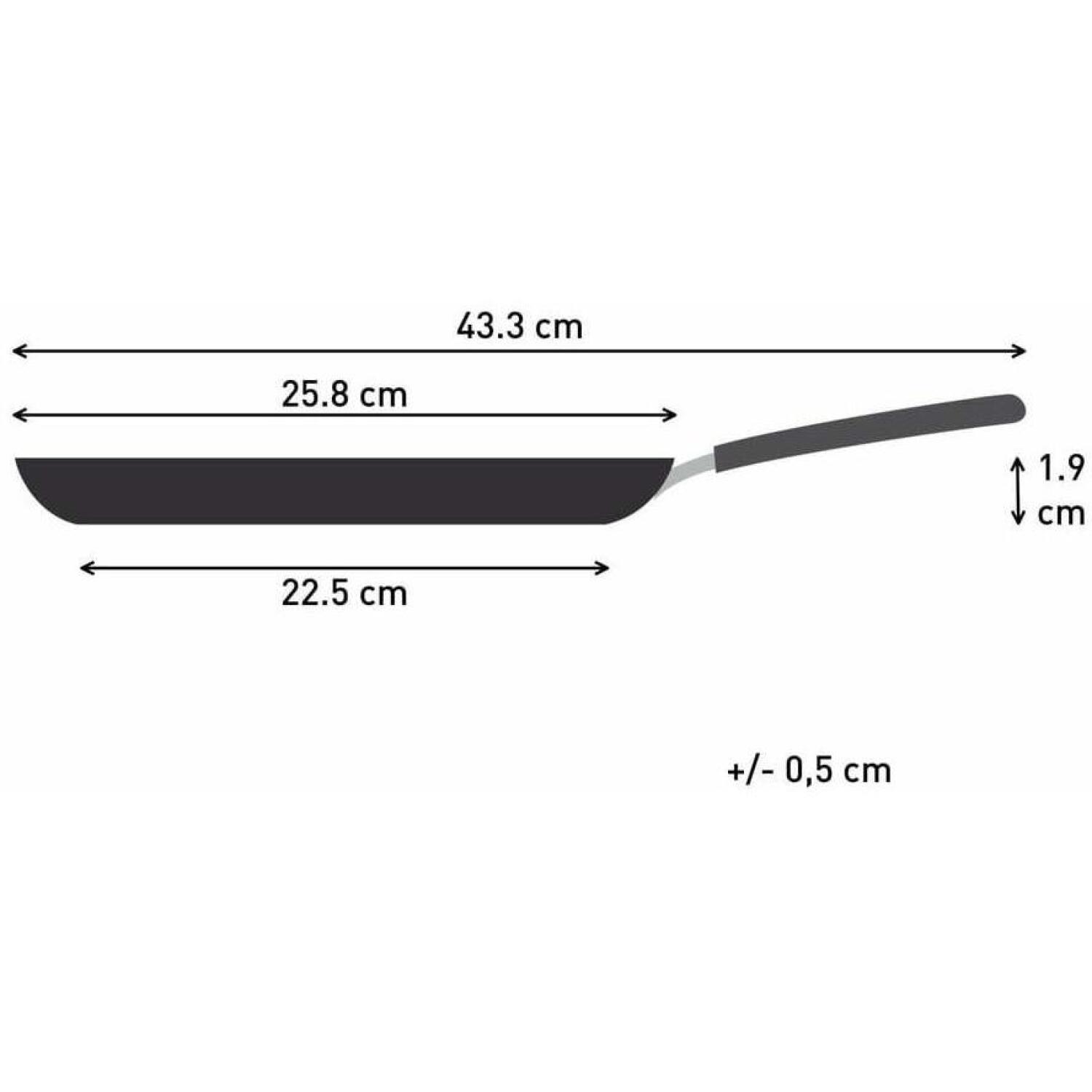 Tefal Сковорода H0563842, 25см, Алюминий, Подходит для индукционной плиты, Устойчивое антипригарное покрытие, Фиксированная ручка (H0563842)