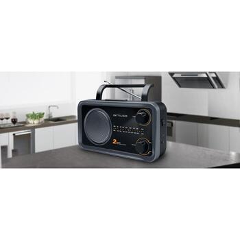 Muse портативный радиоприемник M-06DS, 2 диапазона FM/MW, AC 230V 50Hz, 4 x C батарея, AUX вход, разъем для наушников, серый (M-06DS)