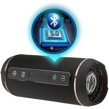 Manta Bluetooth колонка SPK12GO, 10W, 2x5W, Bluetooth V4.2, USB, micro SD, AUX, FM радио, 1200mAh аккумулятор (SPK12GO)
