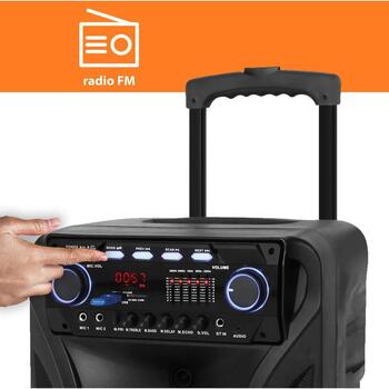 Manta Караоке колонка SPK5021PRO, 80 W, 12 дюймов, 2x входа для микрофона, Bluetooth, FM радио, 5 ч воспроизведения (SPK5021PRO)