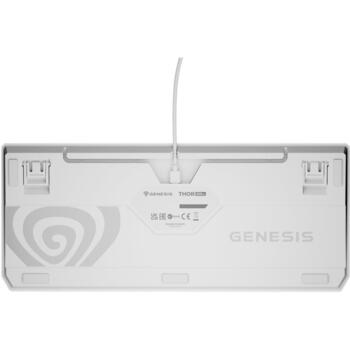 Genesis Thor 230 TKL механическая игровая клавиатура NKG-2080, проводная, USB Type-C, 87 клавиш, Outemu Brown, RGB, белая (NKG-2080)