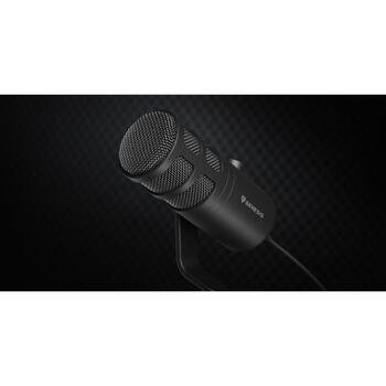 Genesis Datora mikrofons Radium 350D NGM-2168, -48 dB, 60-14000 Hz, 24 biti, 192 kHz, USB-A, USB-C, dinamisks, kardioīds, melns (NGM-2168)