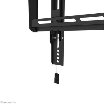 Neomounts настенный крепеж WL35-550BL18 43-86
