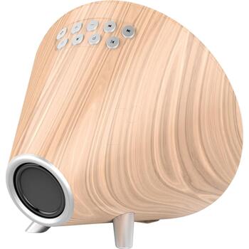 Nasa Метеостанция/Динамик WSP1700WD, 3 уличных датчика, 10м, 1x3W, Bluetooth 3.0, FM 10 станций (WSP1700WD)