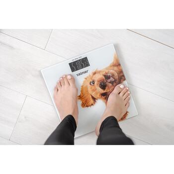 Zelmer Vannas istabas svari ZBS1010 60705631P, 180 kg, 2,5-180 kg, 100 g, LCD ar fona apgaismojumu, rūdīts stikls (60705631P)