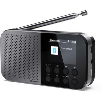 Sharp OSAKA карманное/портативное цифровое радио DR-P520(GY), 5,08 см, 12 ч, Bluetooth 5.3, DAB/DAB+/FM (DR-P520(GY))
