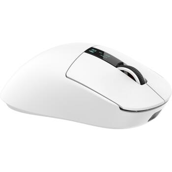 White Shark Мышь GAWAIN-W, 500mAh, 12000DPI, 56g, 5 кнопок, зарядка USB-C, Bluetooth 5.2, RF 2.4 GHz (GAWAIN-W)