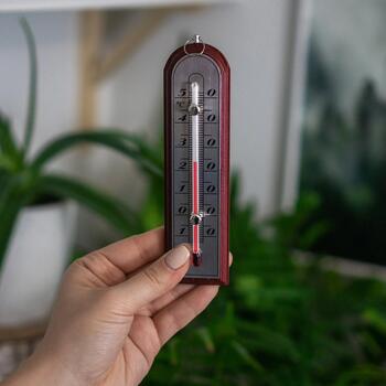 Bioterm 010701 Комнатный термометр, от -10 до +50°C, 16см, деревянный, серебряная шкала, подвесной (010701)