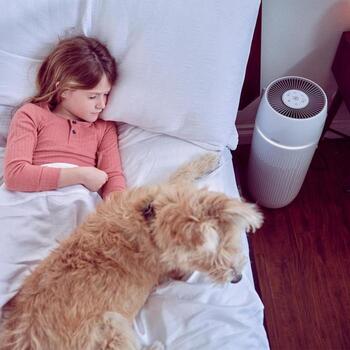 Homedics Очиститель воздуха AP-PET35WT-EU, 81м², 3 скорости, HEPA, угольный фильтр, предварительный фильтр, ионизатор, таймер (AP-PET35WT-EU)
