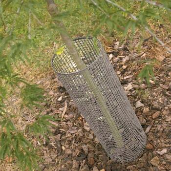 QUADRA 10 - Plastmasas aizsargsiets pelēks, 1x5m 72020112 (72020112)