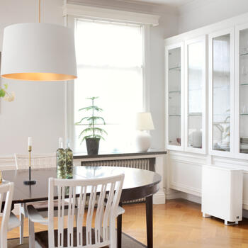 Gaisa attīrītājs AL310FC 02048 WOOD‘S (02048)