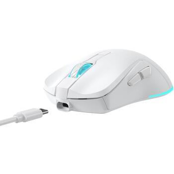 Baracuda Pele TURTLE-W BGM-122, 3200 DPI, 6 pogas, 95 g, bezvadu, RF 2.4 GHz, apgaismojums (TURTLE-W)