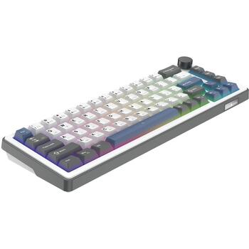 White Shark EXCALIBUR M GK-009251, механическая клавиатура 67 клавиш, 65%, линейные переключатели, hot-swap, 3 режима, RGB (EXCALIBUR-M-W-US)