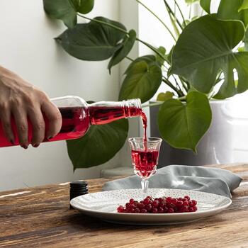 Browin Kapteiņa pudele 631532, 500 ml, ar vāku, stikls, infūzijām (631532)