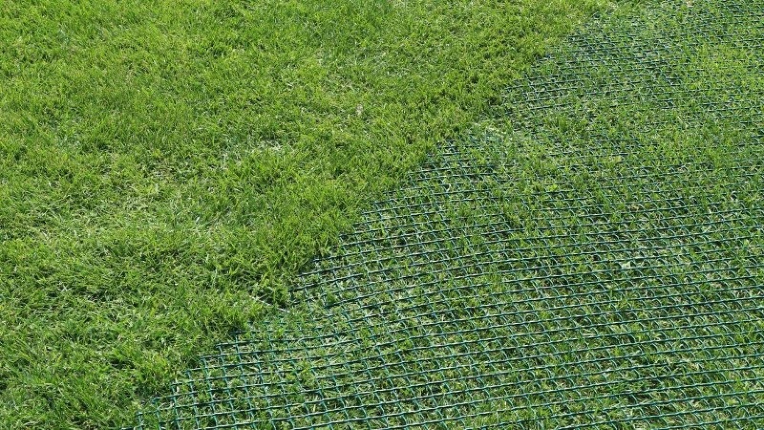 Армирующая сетка для газонов TR FLEX (2x30 м) 61620308 (61620308)