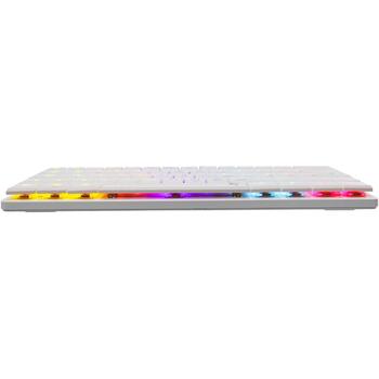 White Shark Клавиатура NAGAMAKI-W-US-RED.SW, 29.2см, 10.3см, 2.5см, 0.32кг, USB-C, RGB подсветка, 62 клавиши (NAGAMAKI-W-US-RED.SW)