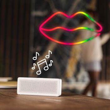 Manta Неоновые огни SNL61RGB, 5W, 5V, 2м кабель питания, 16 цветов, дистанционное управление, петли для подвешивания (SNL61RGB)