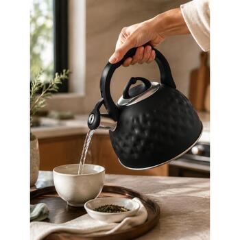Brock MWK 002 BK La Cuisinette чайник, 2,7л, 3л, нержавеющая сталь, черный, для индукции, со свистком (MWK 002 BK)