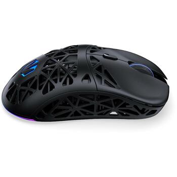 Endorfy MOUSE USB OPTICAL WRL LIV PLUS/BLACK EY6A016, 26000 DPI, 5 кнопок, Bluetooth, 16.51 м/с, эргономичный дизайн (EY6A016)