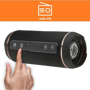 Manta Bluetooth колонка SPK13GO, 10W, 2x5W, Bluetooth V4.2, FM радио, USB, micro SD, микрофон (SPK13GO)