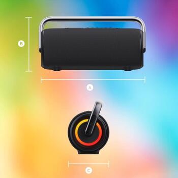 Manta Портативная Bluetooth колонка SPK325-BK, 80W, 10ч, Bluetooth 5.3, TWS, голосовой помощник, пауэрбанк (SPK325-BK)