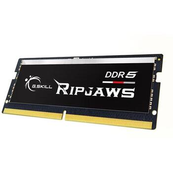 G.Skill Ripjaws DDR5 SO-DIMM F5-5600S4040A32GX1-RS, 32 ГБ, 5600 МГц, 1.1 В, DDR5, ПК/сервер, Зарегистрирован Нет, ECC Нет (F5-5600S4040A32GX1-RS)