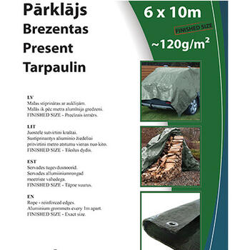 Pārklājs 6*10m 120g/m2 000167 (000167)